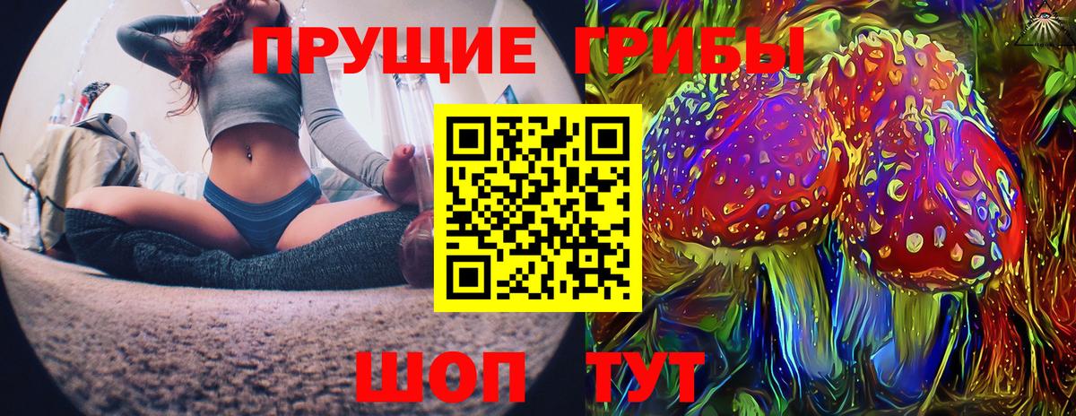 Махачкала  Псилоцибиновые грибы Psilocybine cubensis  Вход с VPN  Галлюциногенные грибы GOLDEN TEACHER 